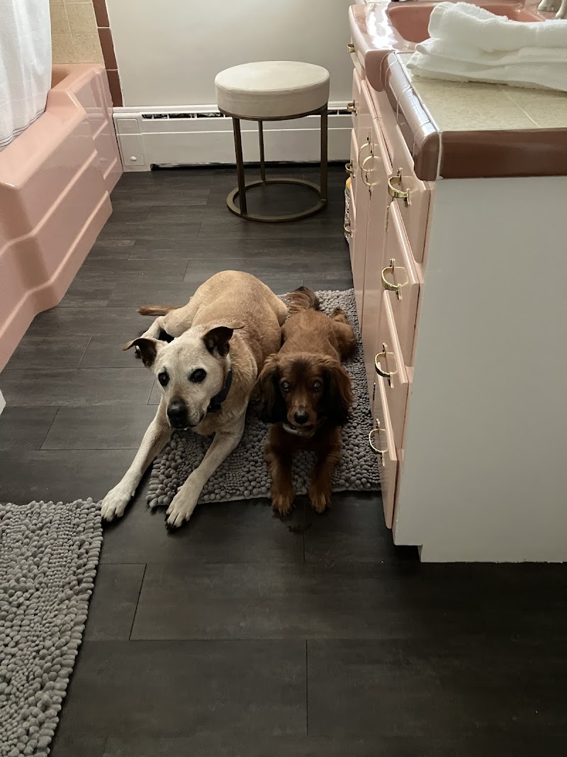 Boyd Lake Veterinary Center