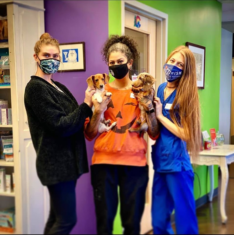 Park Hill Veterinary Medical Center