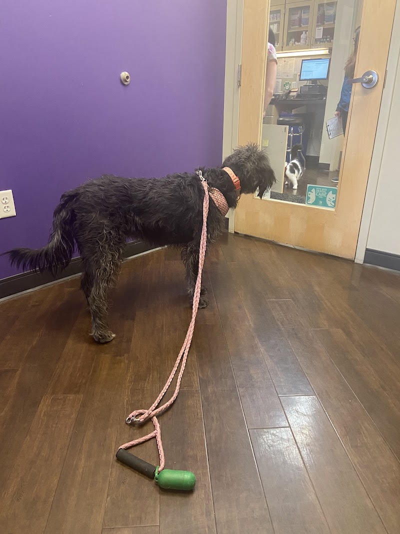 Park Hill Veterinary Medical Center