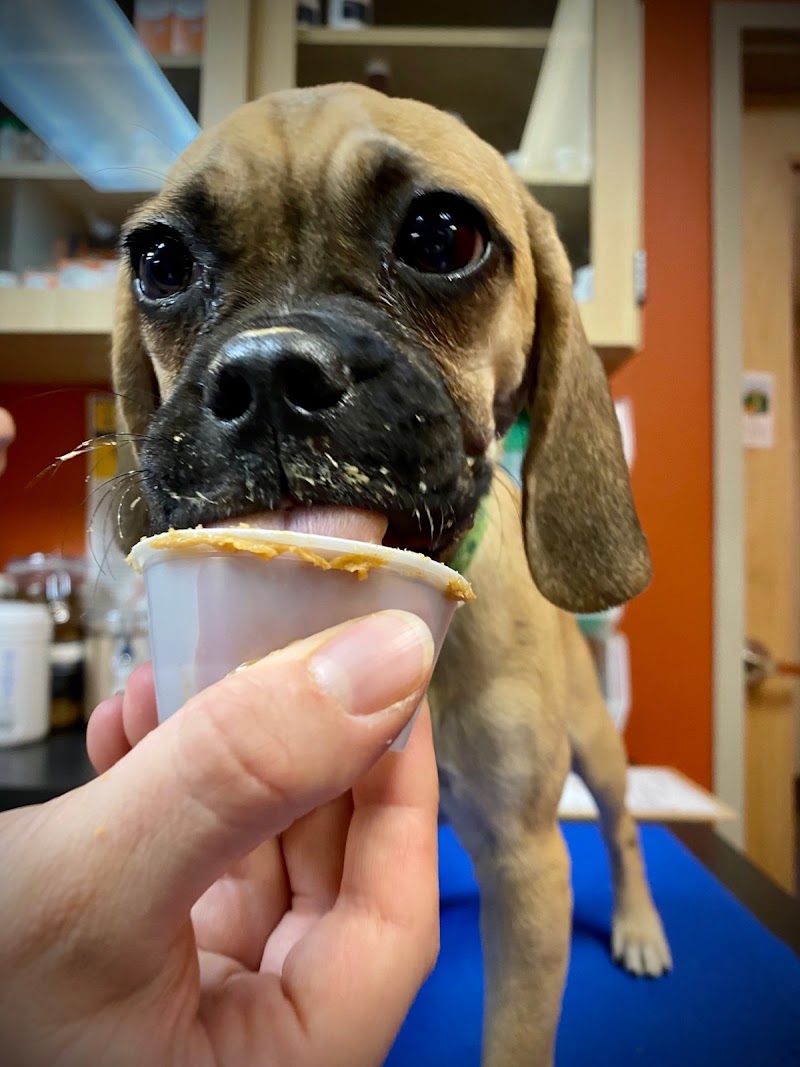 Park Hill Veterinary Medical Center