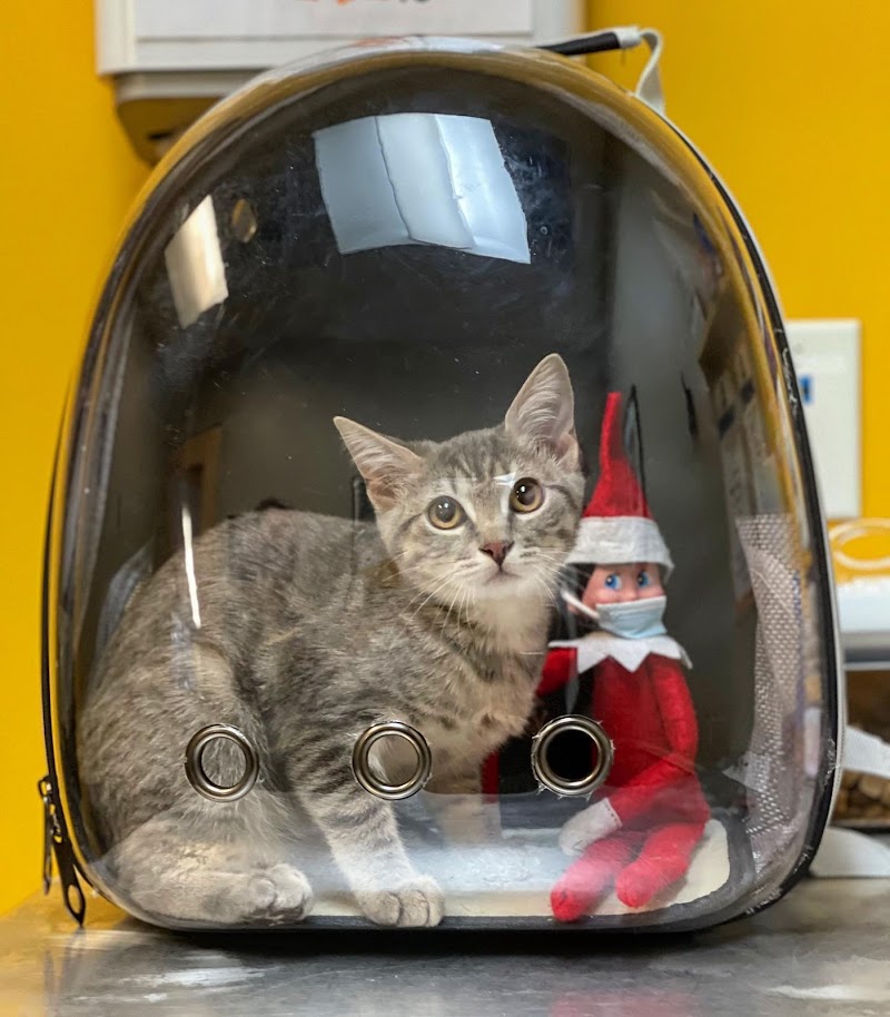 Park Hill Veterinary Medical Center