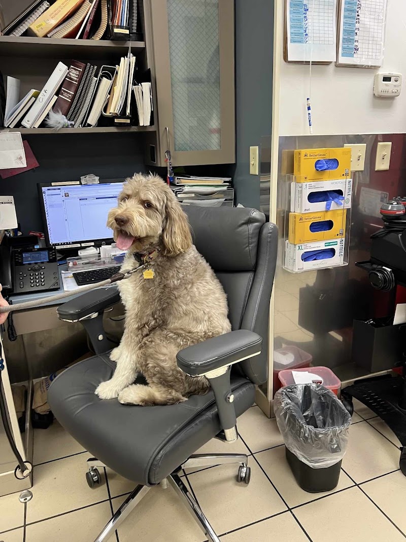 VCA Park Cities Animal Hospital
