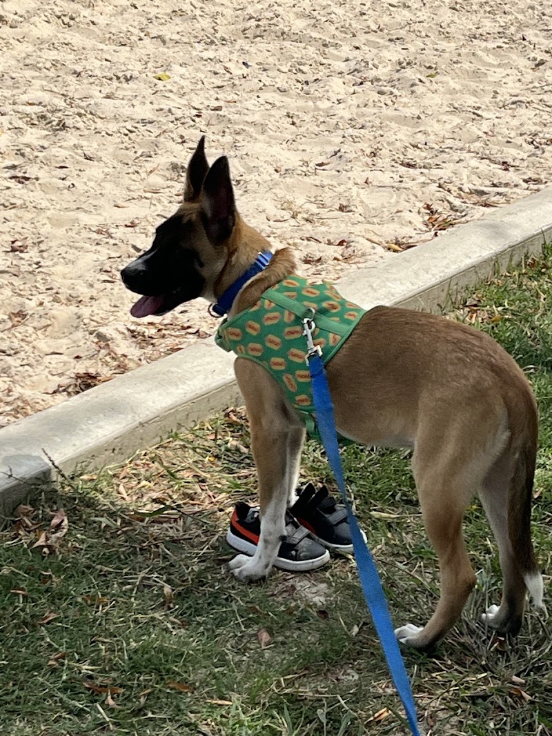 VCA Park Cities Animal Hospital