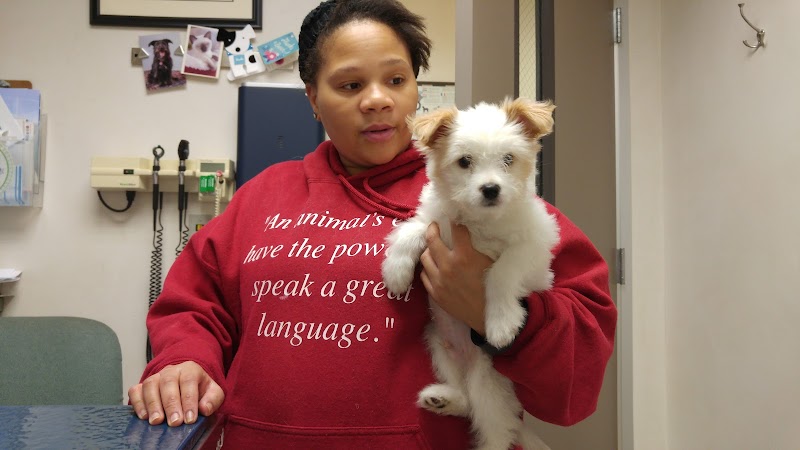 VCA Park Cities Animal Hospital