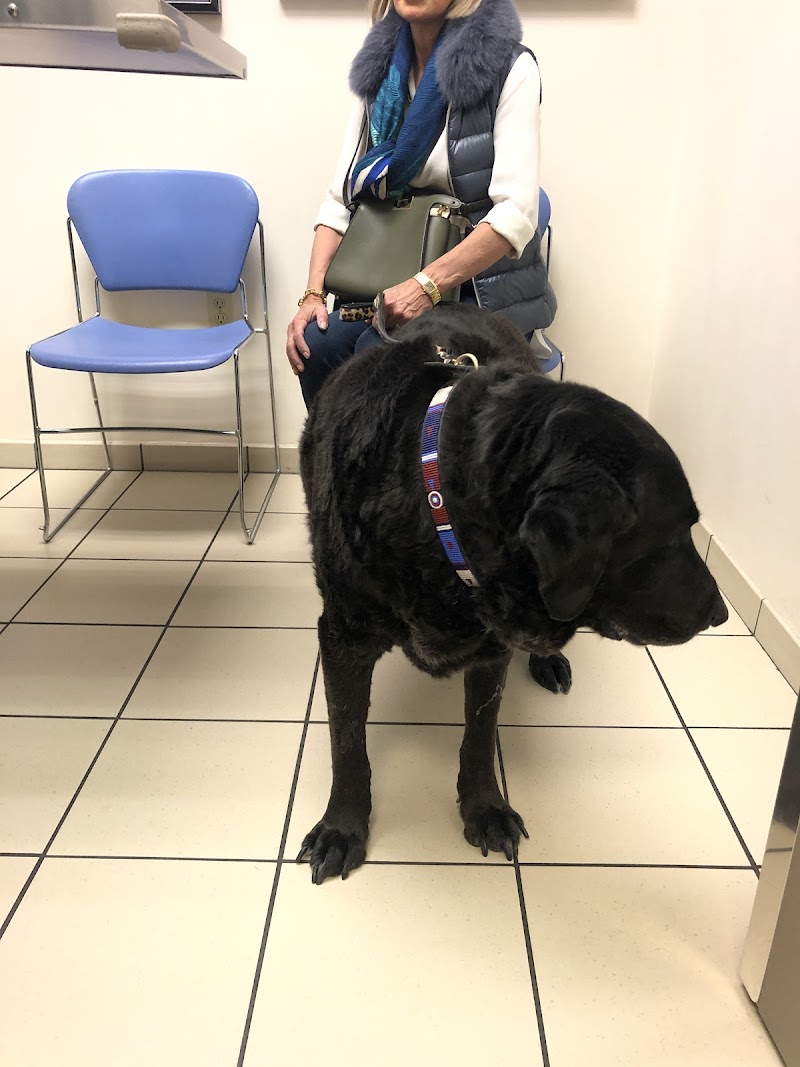 VCA Park Cities Animal Hospital