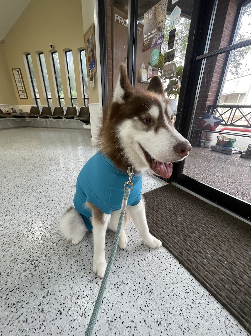 Memorial Town and Country Animal Clinic