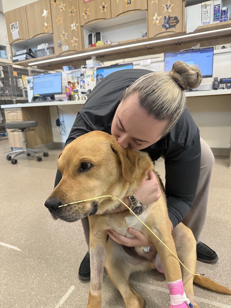 ARISE Veterinary Center