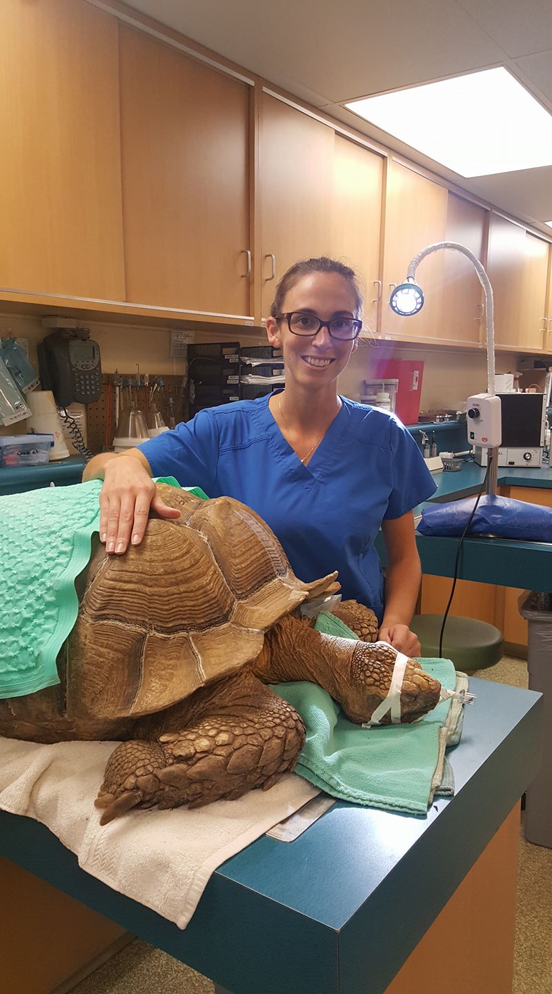 Avian & Exotic Animal Hospital, Inc.