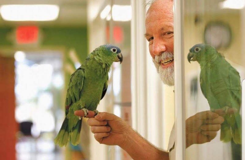 Avian & Exotic Animal Hospital, Inc.