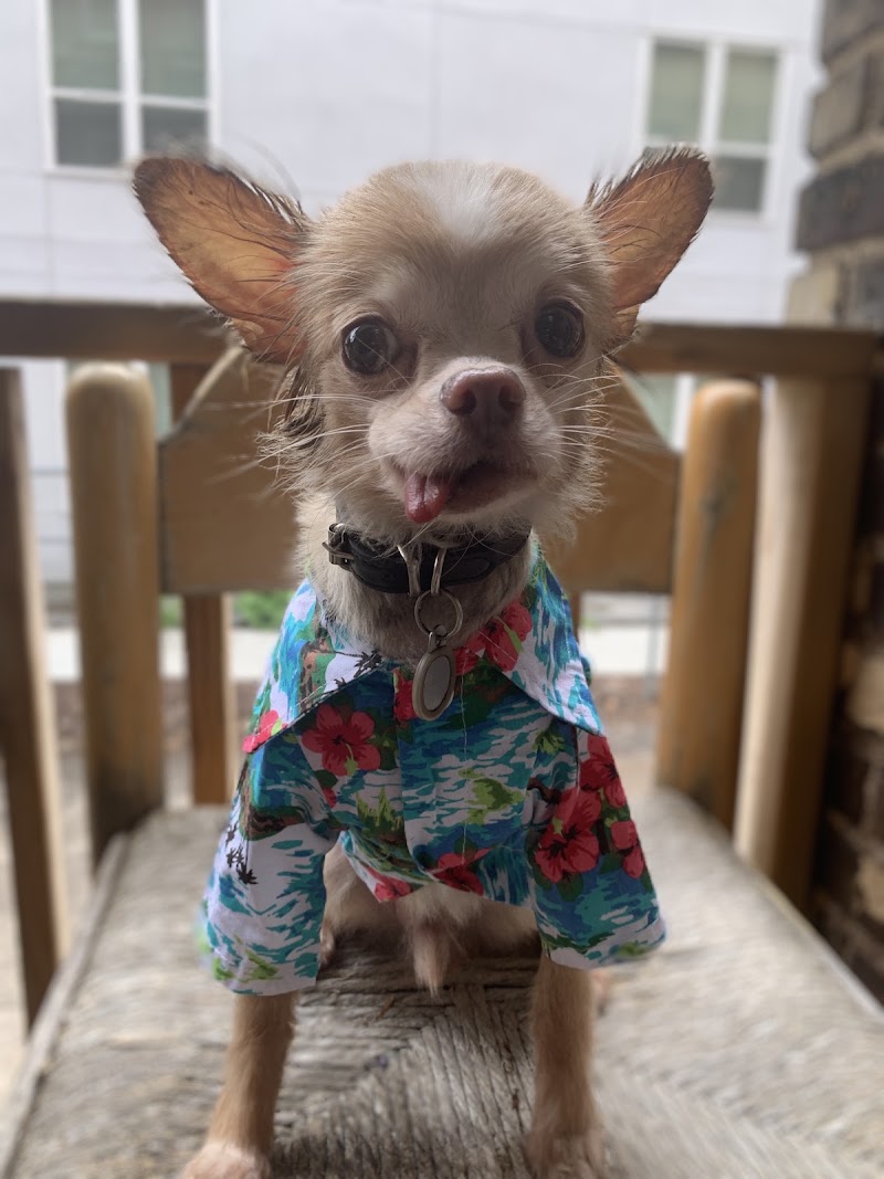 MetroPet Animal Hospital