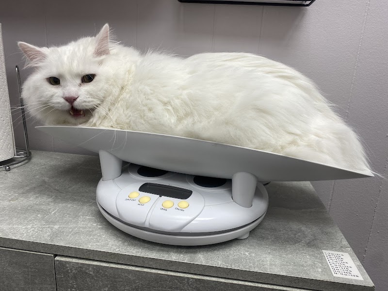 MetroPet Animal Hospital