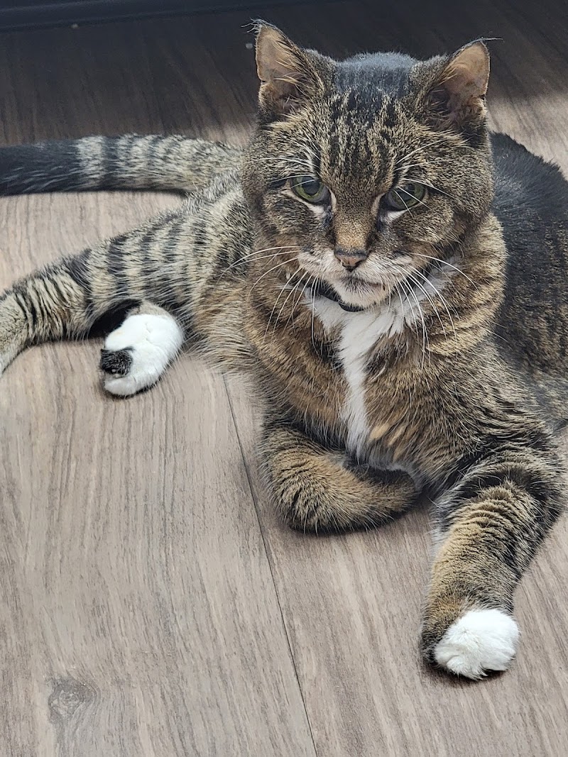 MetroPet Animal Hospital