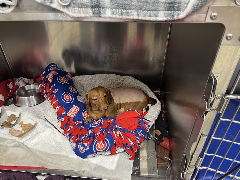 VCA Aurora Animal Hospital
