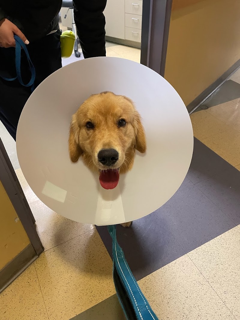 San Francisco Animal Medical Center