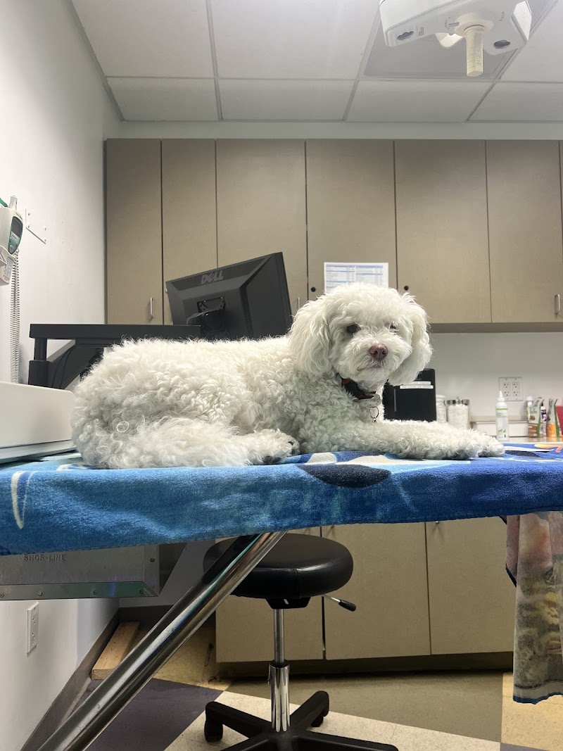 San Francisco Animal Medical Center
