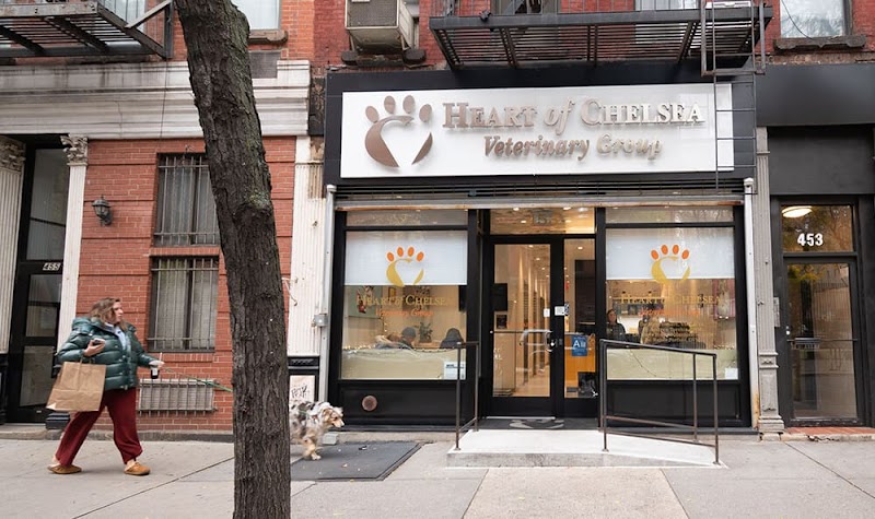Heart of Chelsea Veterinary Group - Hell's Kitchen