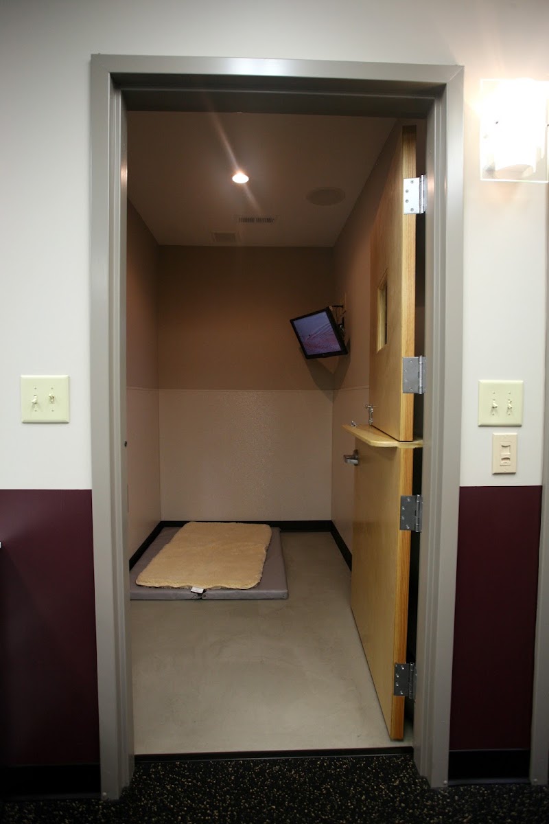 Vet-REC: Veterinary Rehabilitation & Exercise Clinic of the Carolinas - Indian Trail