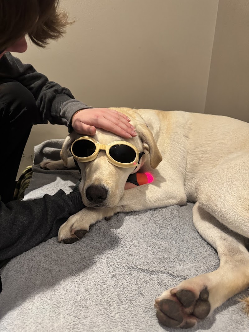 Vet-REC: Veterinary Rehabilitation & Exercise Clinic of the Carolinas