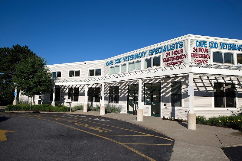 Cape Cod Veterinary Specialists