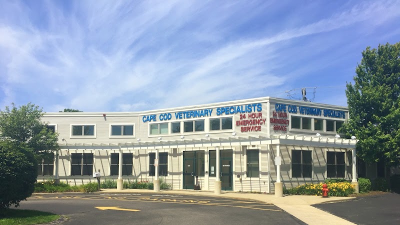 Cape Cod Veterinary Specialists - Bourne