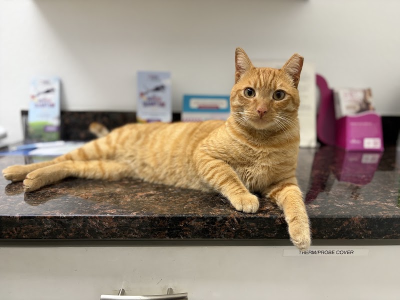 Ark Veterinary Care