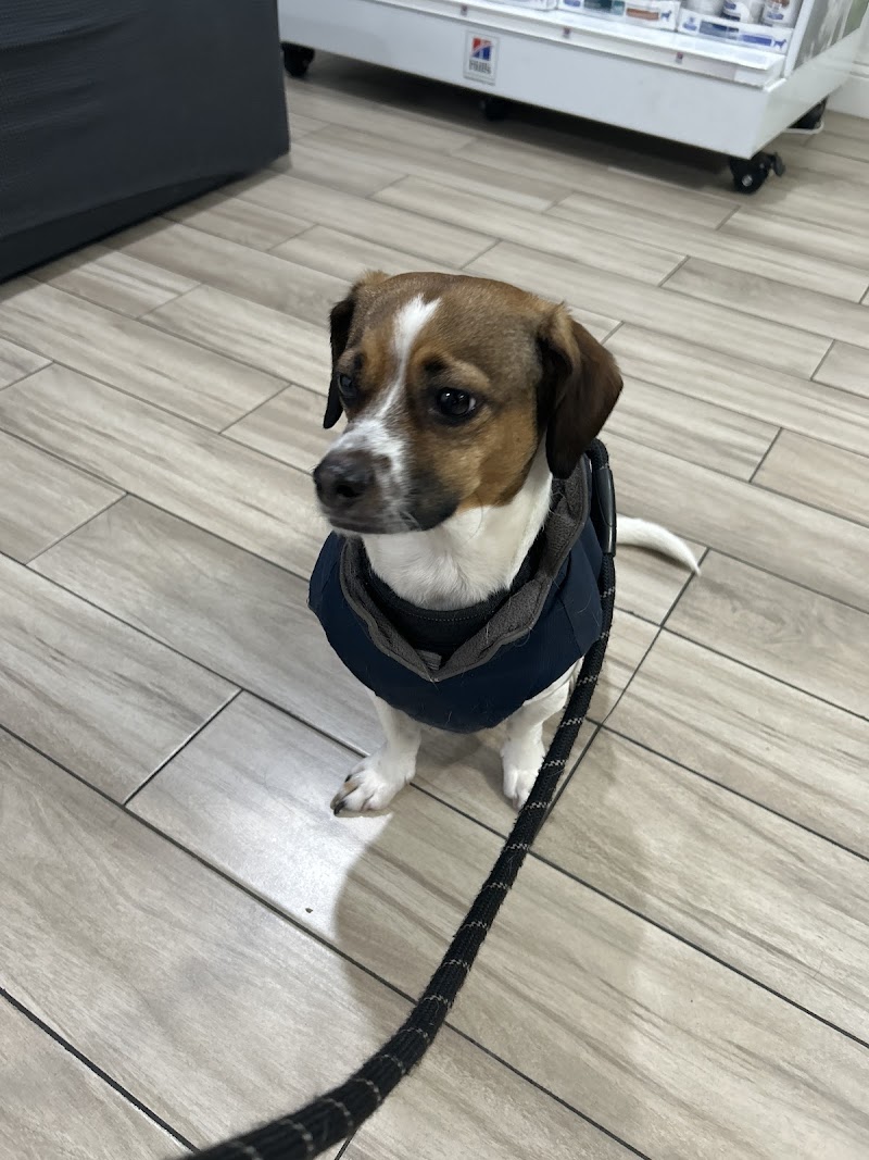 Ark Veterinary Care