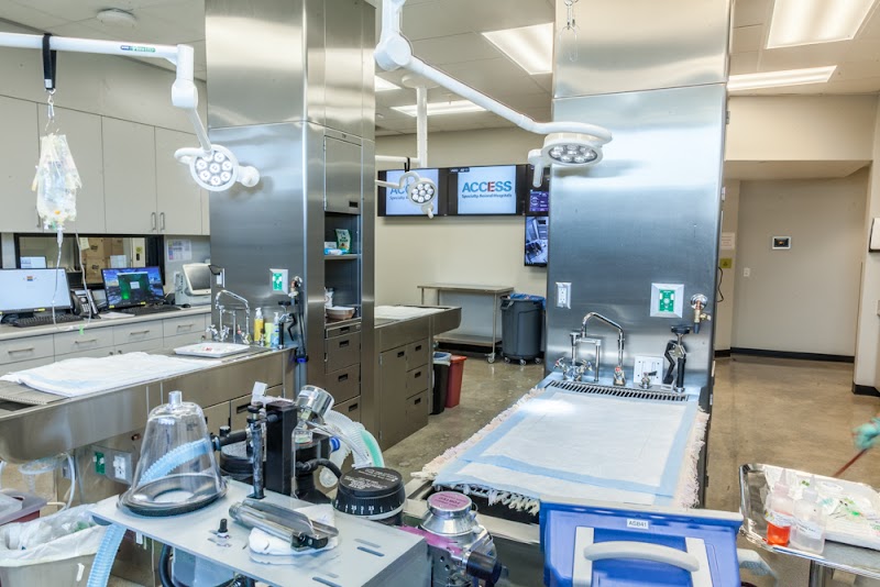 ACCESS Specialty Animal Hospitals - South Bay