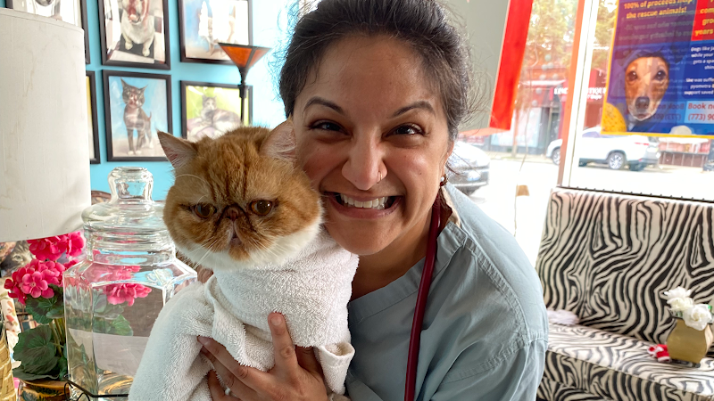 Bhatt Integrative Veterinary Specialty (Arya Acupuncture) | Dr. Priya Bhatt, DVM - Chicago