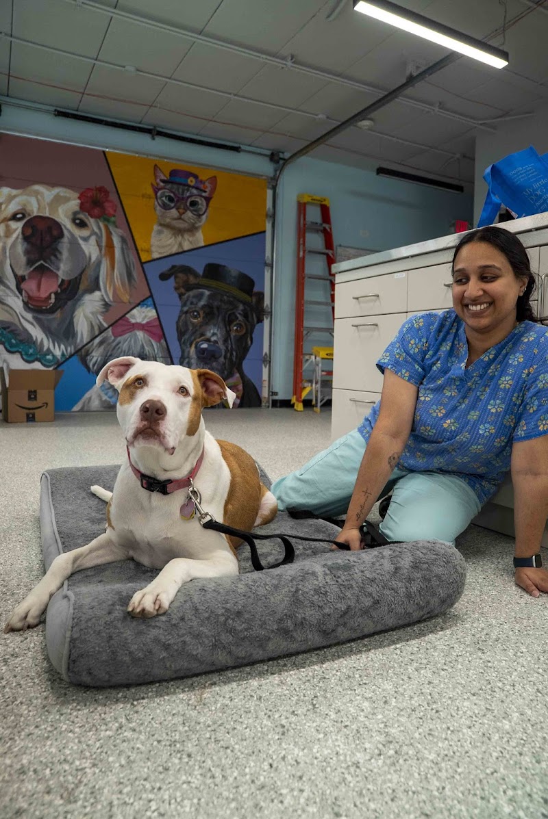 Bhatt Integrative Veterinary Specialty (Arya Acupuncture) | Dr. Priya Bhatt, DVM