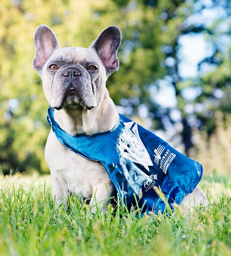 PetCure Oncology Central Office - Advanced Cancer Treatments for Cats & Dogs - Chicago