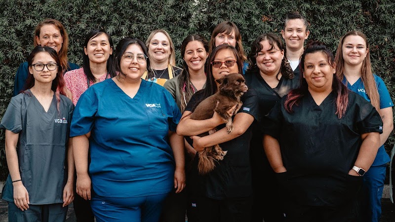 VCA Winchester Animal Hospital