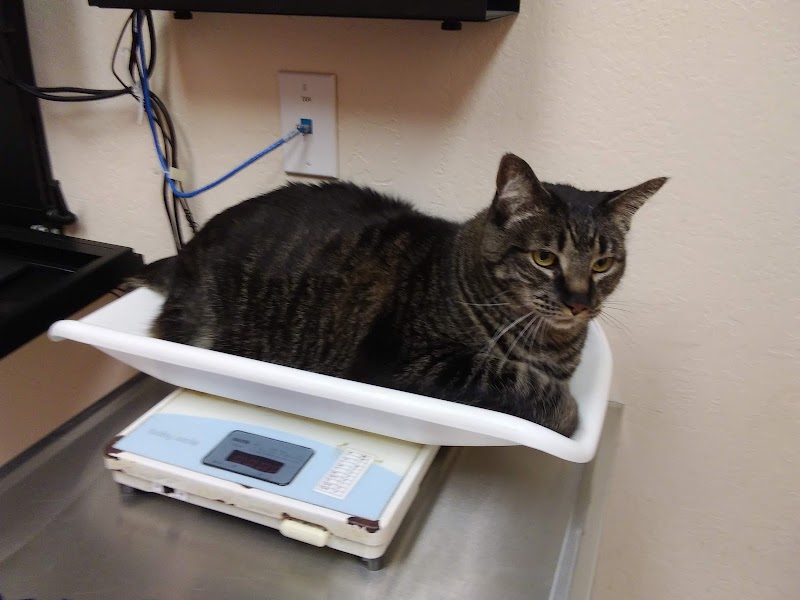 VCA Winchester Animal Hospital