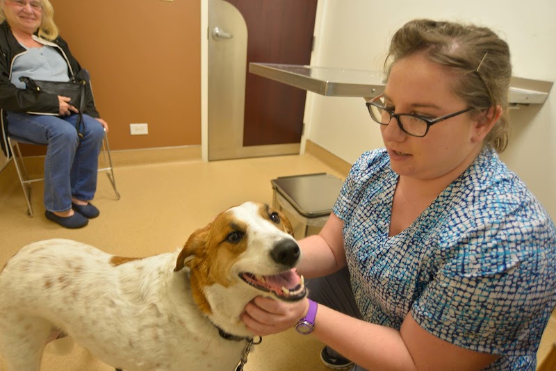 Archer Veterinary Clinic