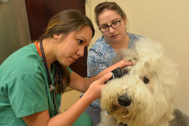 Archer Veterinary Clinic