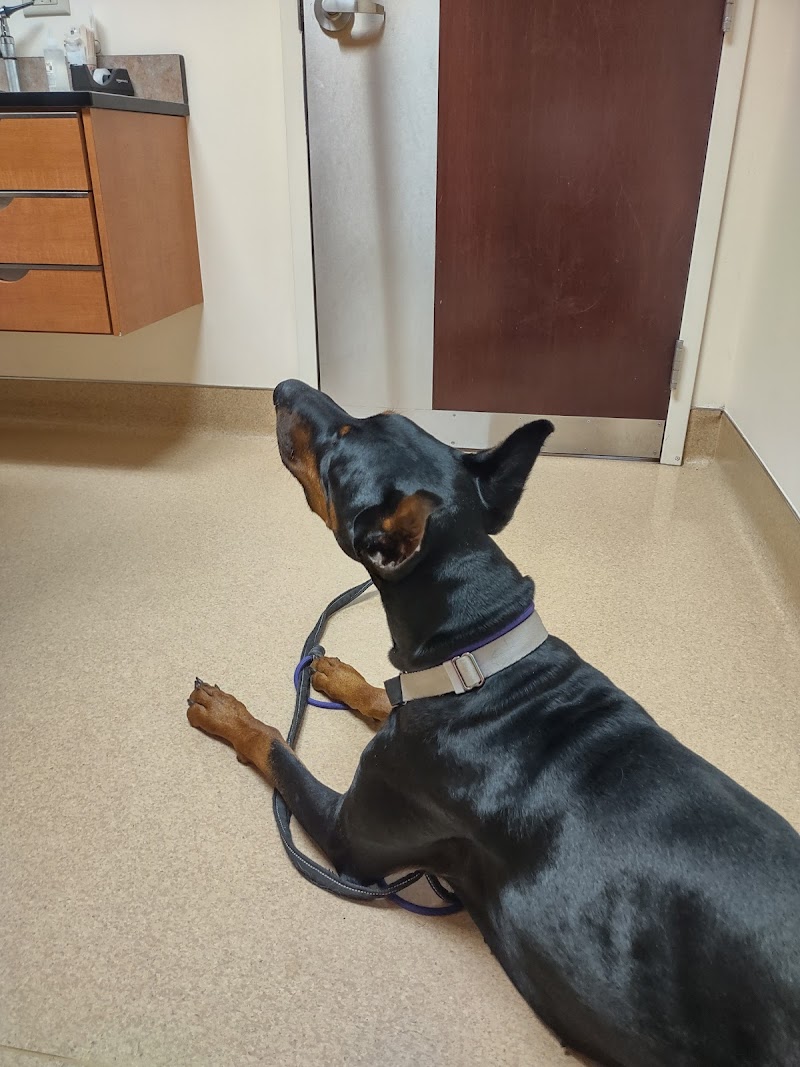 Archer Veterinary Clinic