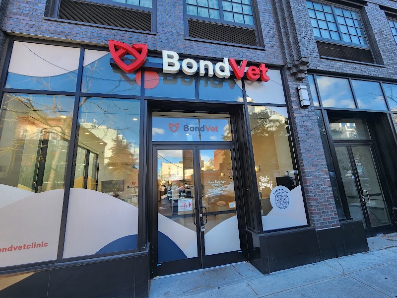 Bond Vet - Clinton Hill