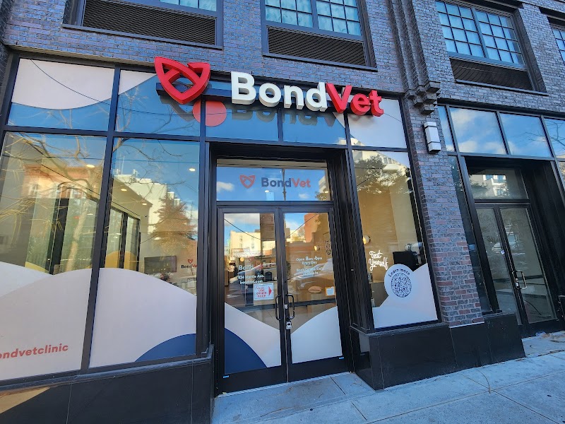 Bond Vet - Clinton Hill