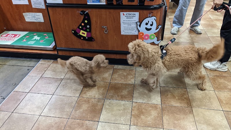 Milpitas Pet Clinic