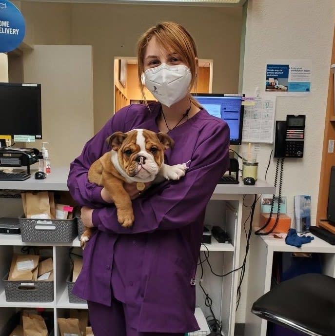 VCA Orchard Plaza Animal Hospital