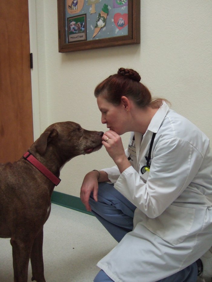 VCA Orchard Plaza Animal Hospital