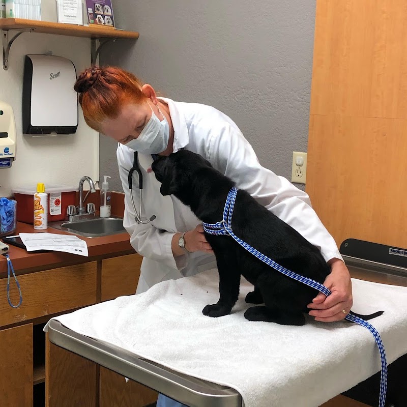 VCA Orchard Plaza Animal Hospital