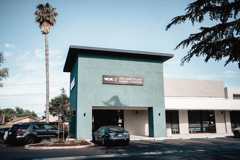 VCA Orchard Plaza Animal Hospital