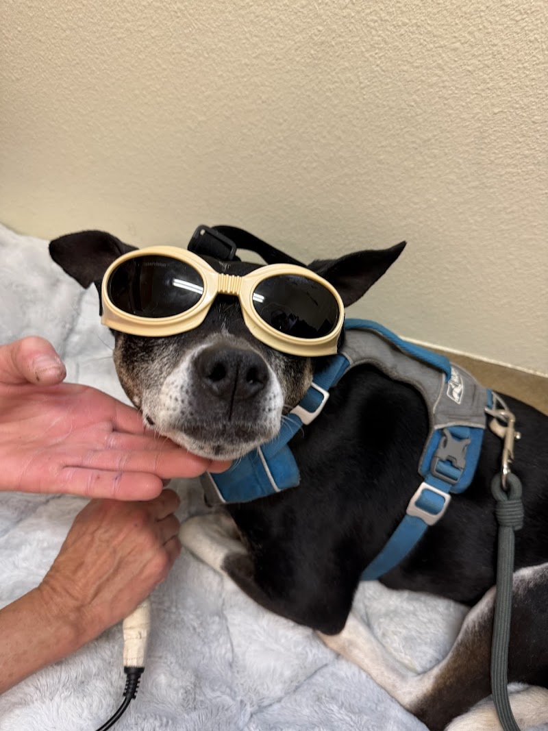 Veterinary Cancer Care
