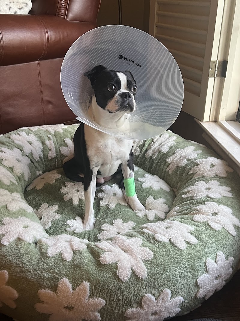 Holt Veterinary Clinic