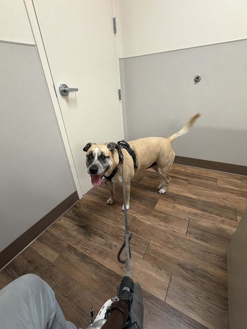 Holt Veterinary Clinic