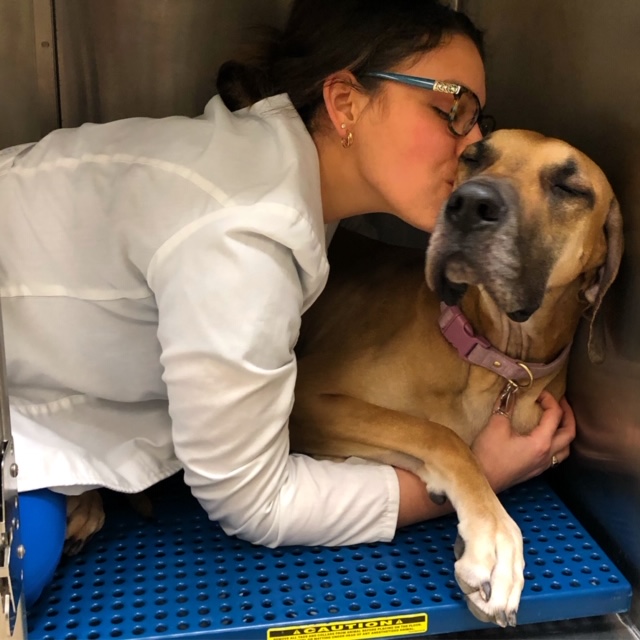 Vetco Total Care