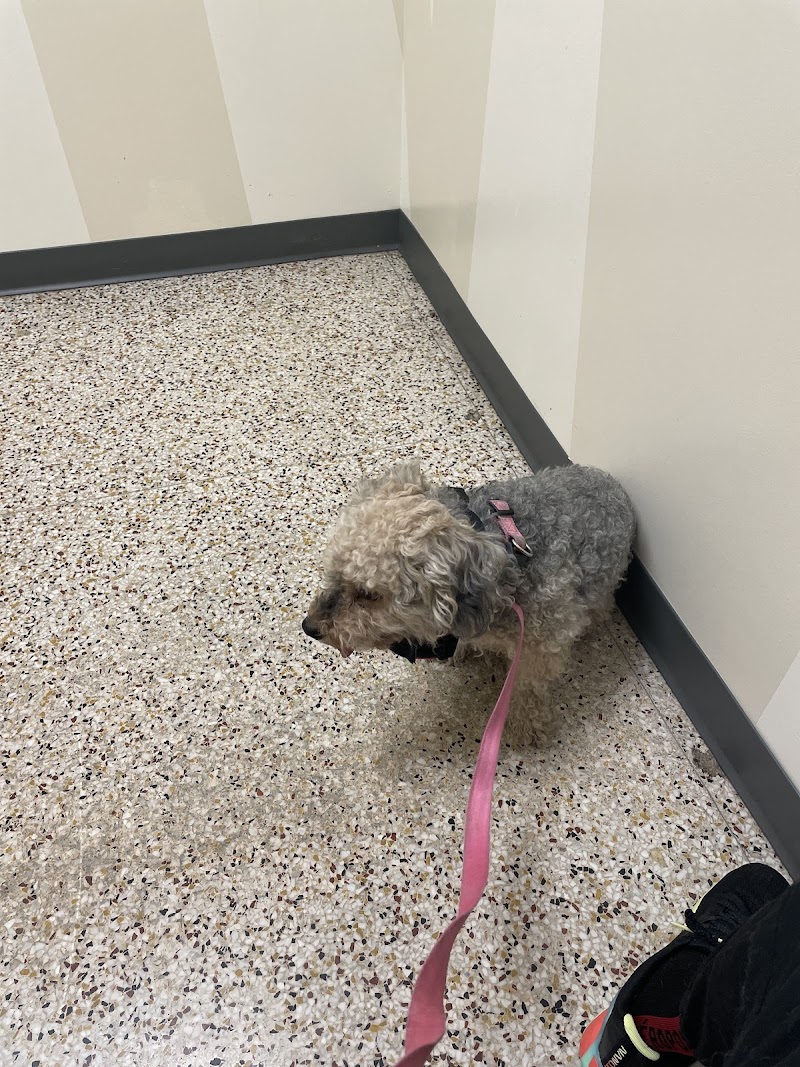 Vetco Total Care