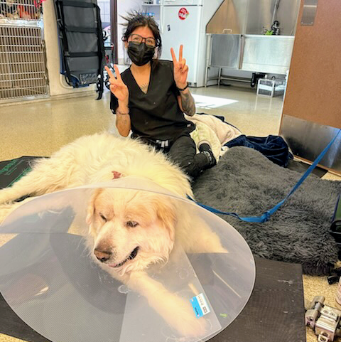 Advanced Veterinary Medical Center