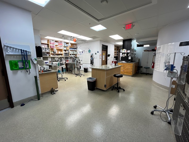 Advanced Veterinary Medical Center
