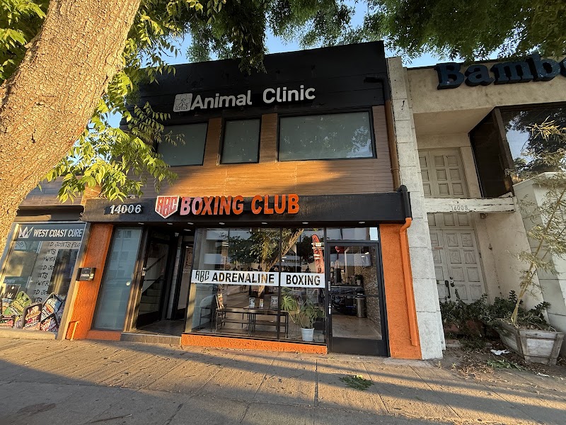 Veterinary Hospital Animal Clinic International Inc.